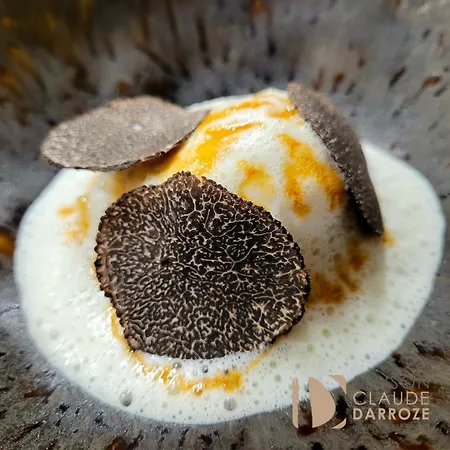 Logis - Restaurant Maison Claude Darroze 3* Langon (Gironde)