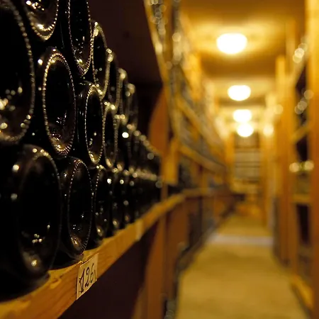 Logis - Restaurant Maison Claude Darroze Hotel