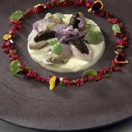 Logis - Restaurant Maison Claude Darroze Hotel 3*